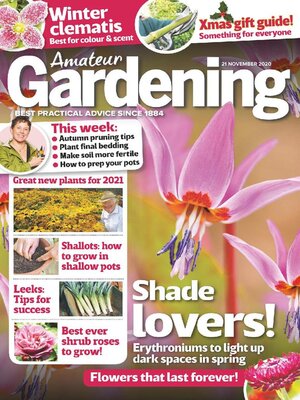 cover image of Amateur Gardening